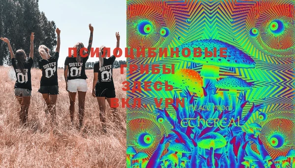 PSILOCYBIN Алексеевка