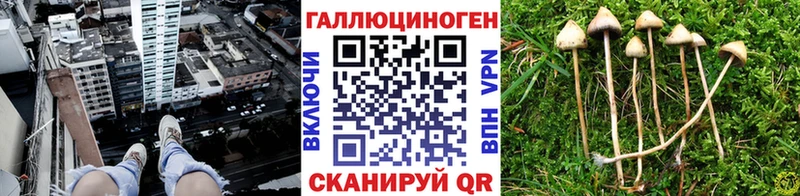 Галлюциногенные грибы Psilocybe  закладки  Красноуфимск 